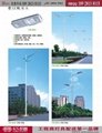 廠家直銷太陽能led高杆路燈 2