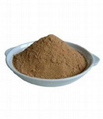 Tea seed Powder