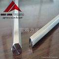 Hex Titanium Bar  1