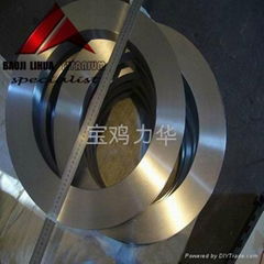 Titanium Forging Ring 