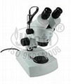 Stereo Zoom Binocular Microscope 1