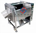 potato peeling machine  JYTP-80 1