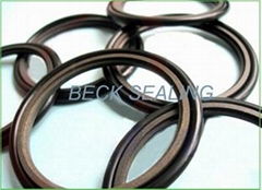 PTFE step seal/GSD/GSJ