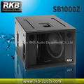 Pro audio Dual 18" long-throw subwoofer