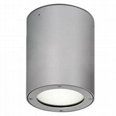 240V PAR30 aluminium IP54 fixed 15w E27 led ceiling light 