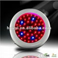 2012 50W UFO New Best Seller led grow light 3w best for flowering and fruiting  3