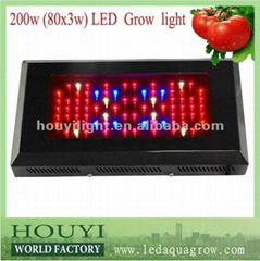 200w red blue grow light led 80*3watt hydro led plant panel grow lighting 