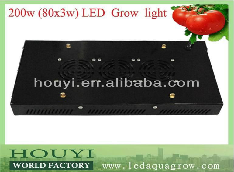 200w red blue grow light led 80*3watt hydro led plant panel grow lighting  3