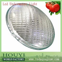 White/RGB high power 3w swimming pool 54w par56 led underwater light