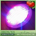 36w 12*3w led color synchronism IP68 pool bulb waterproof led fountain lights 1