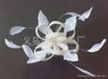 sinamay feather fascinator SFC1158