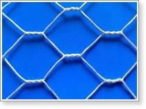 Hexagonal wire mesh