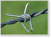 Barbed wire 