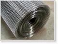 Electric Welded Wire Mesh