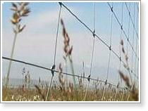 Field fence