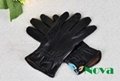 touch gloves(st207) 1