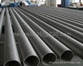 Austenitic stainless steel