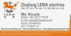 Zhejiang lema electrics co.,ltd