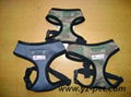 Pet Harness 2