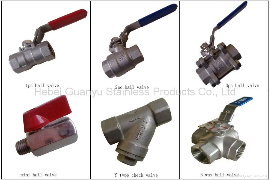 stainless steel Y spring loaded check valve 3