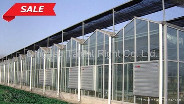 3.2mm 4mm tempered Agricuntural Greenhouse glass with CE from China 2