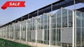 3.2mm 4mm tempered Agricuntural Greenhouse glass with CE from China 2
