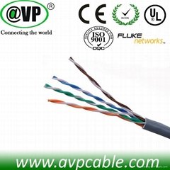 Fluke approval CCAG UTP lan cable