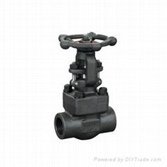 Forged steel stop valve