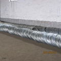 Galvanized Wire Iron Wire 3