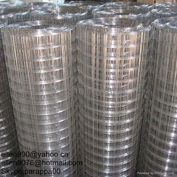 Galvanized Welded wire mesh