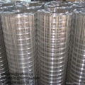 Galvanized Welded wire mesh