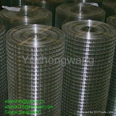 Galvanized Welded wire mesh 5