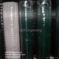 Pvc Coated Welded Wire Mesh 1