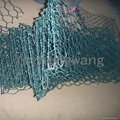Pvc Coated Hexagonal wire mesh 2