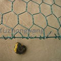 Pvc Coated Hexagonal wire mesh 4