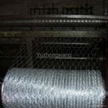 Galvanized Hexagonal Wire Mesh 1