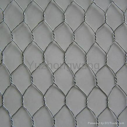 Galvanized Hexagonal Wire Mesh 2