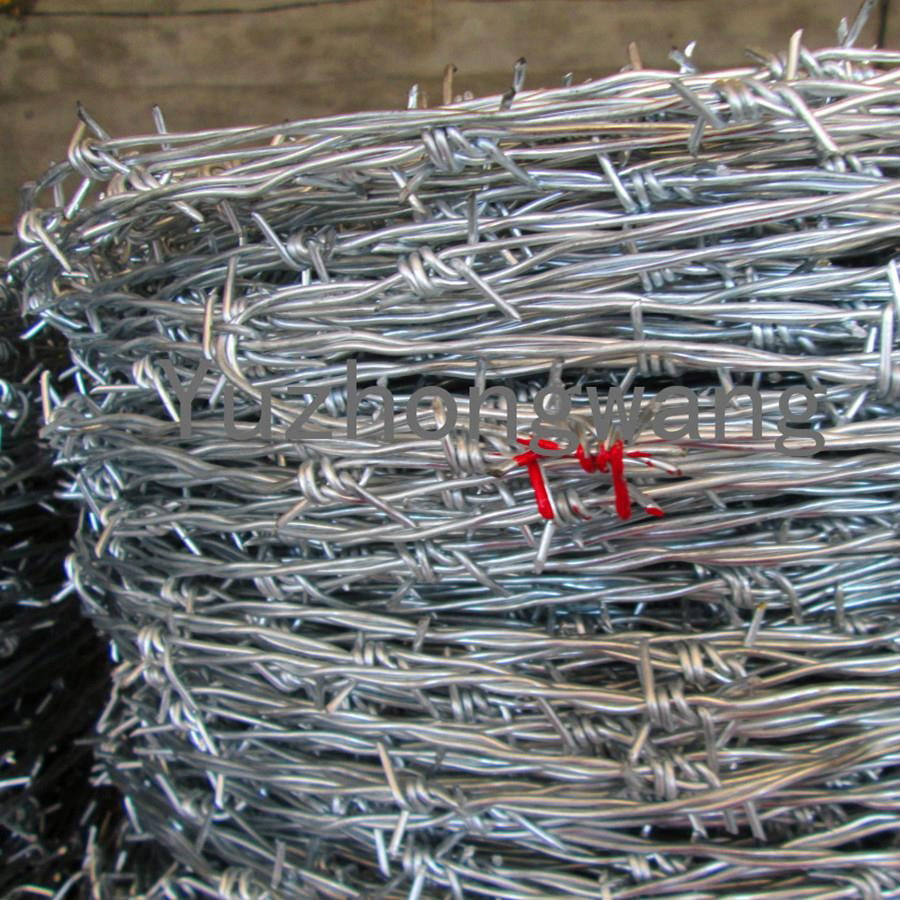 Competitive Price Double Screw Barbed Wire for Railway(Factory) 2