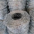Competitive Price Double Screw Barbed Wire for Railway(Factory) 1