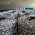 Competitive Price Double Screw Barbed Wire for Railway(Factory) 3
