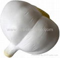 Garlic Bulb Anti Stress Ball
