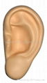 Ear Stress Shape For Medical Research 1