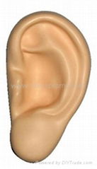 Ear Stress Shape For Medical Research