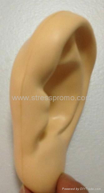 Ear Stress Shape For Medical Research 2