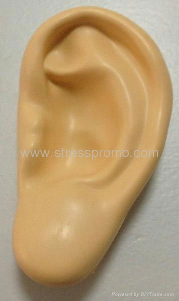 Ear Stress Shape For Medical Research 3