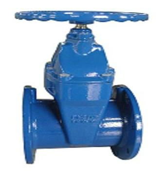 Resilient Gate Valve F4/F5