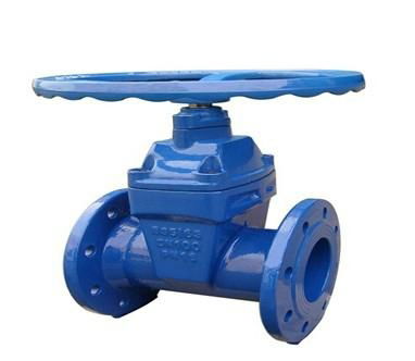 Gate valve BS5163