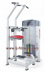 Assist dip chin fitness equipment