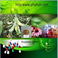 Soybean extract 1