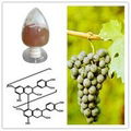 Grape Seed extract